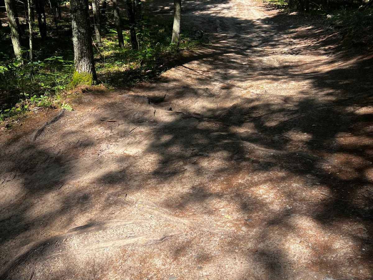 Rooted River Trail photo 4