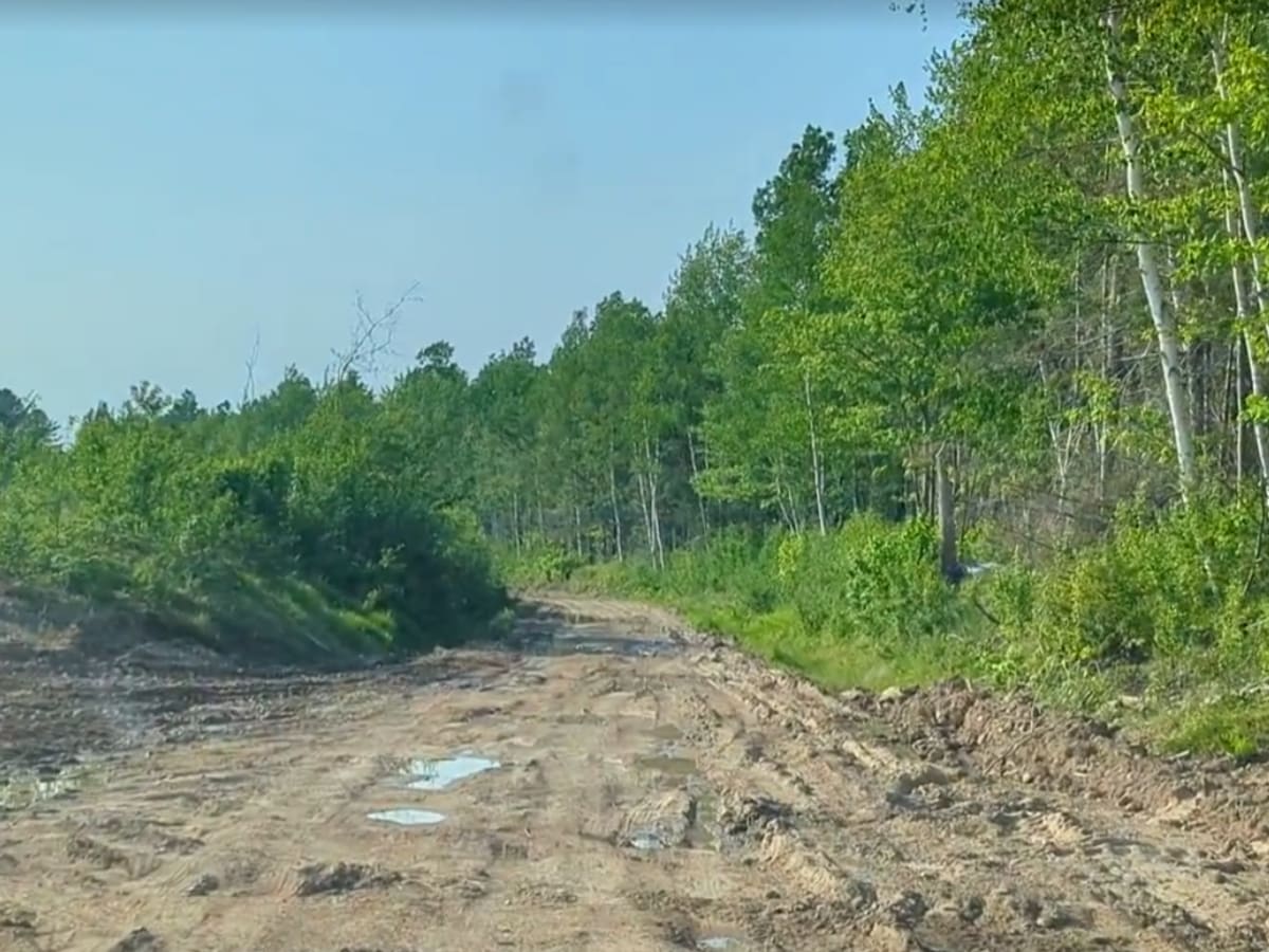 Claudie Road trail photo
