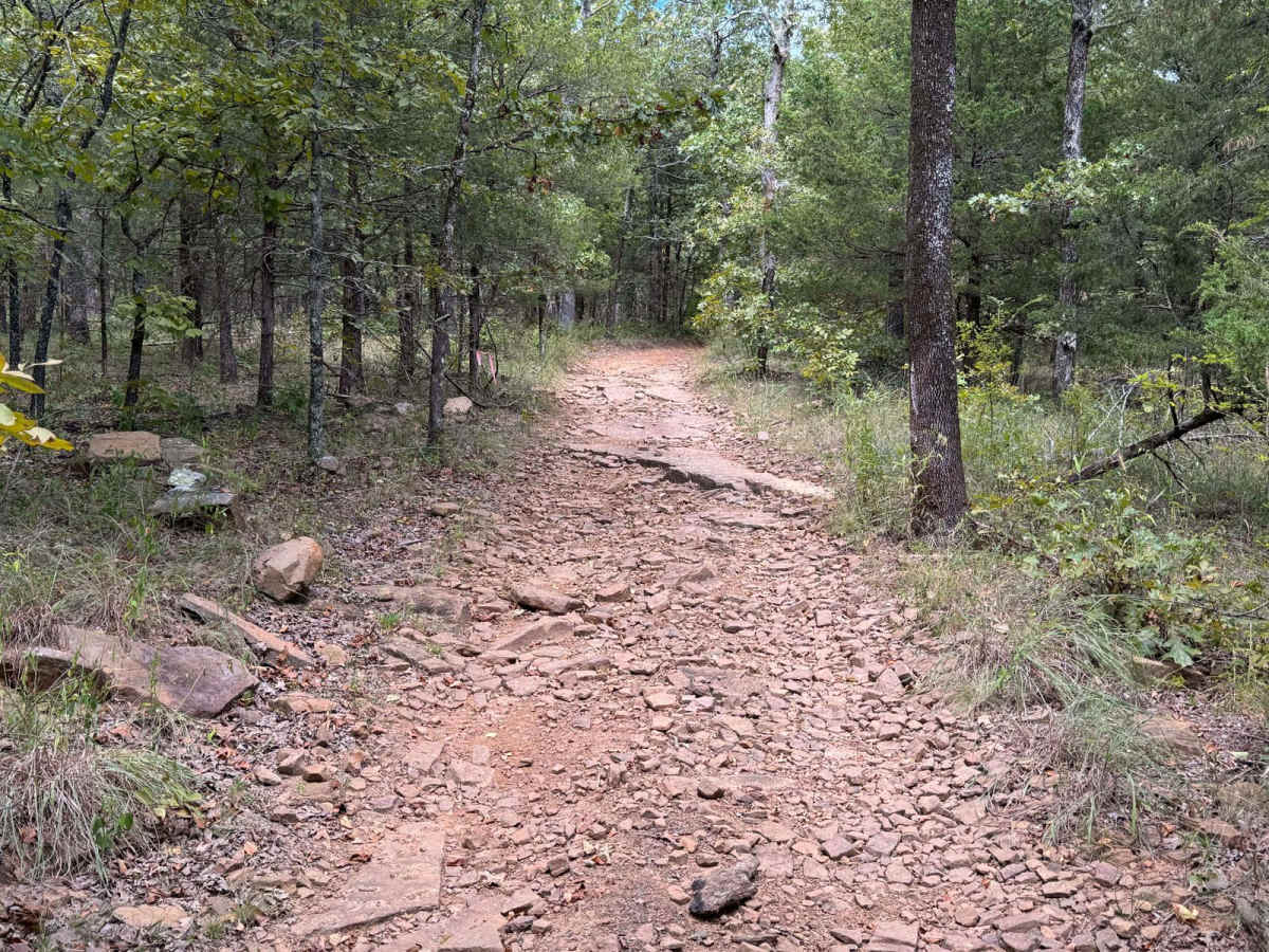 Huckleberry Mountain - Trail 2611 trail photo