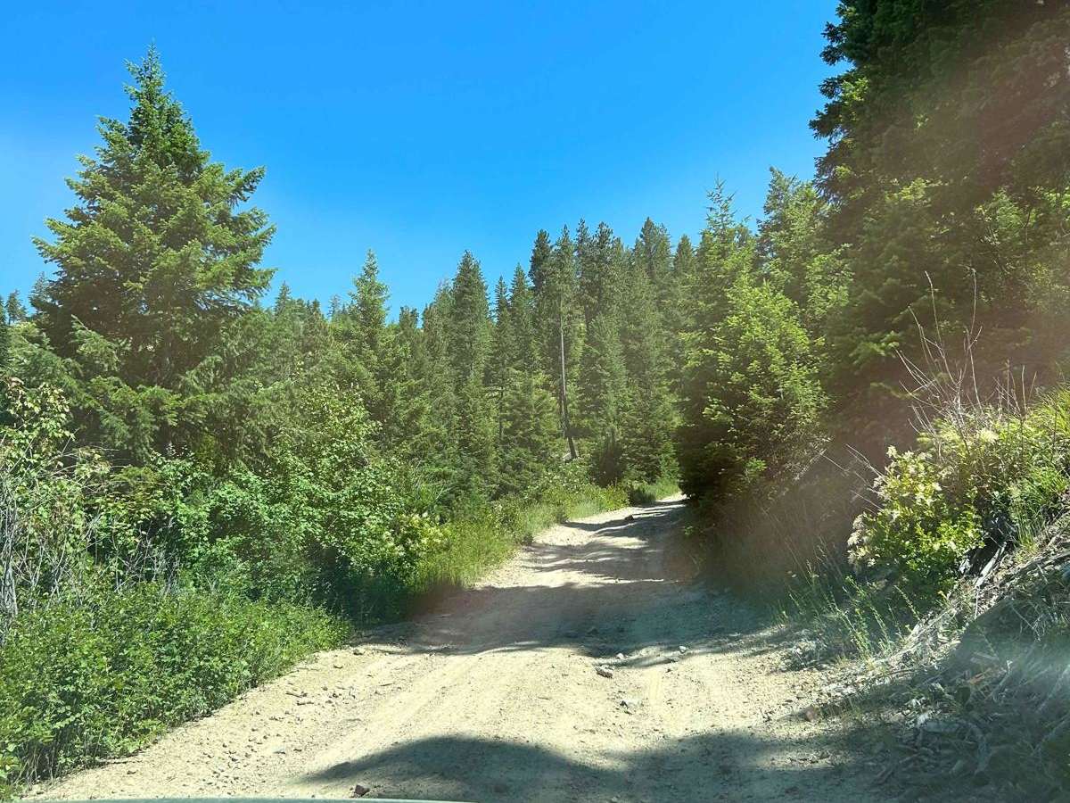 Cataldo to St. Joe Baldy photo 2