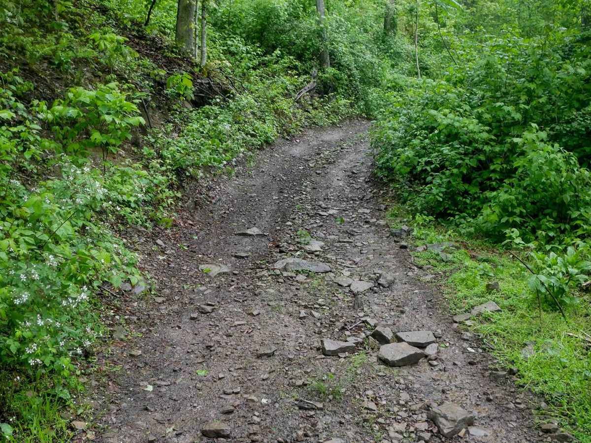 RH 125 trail photo