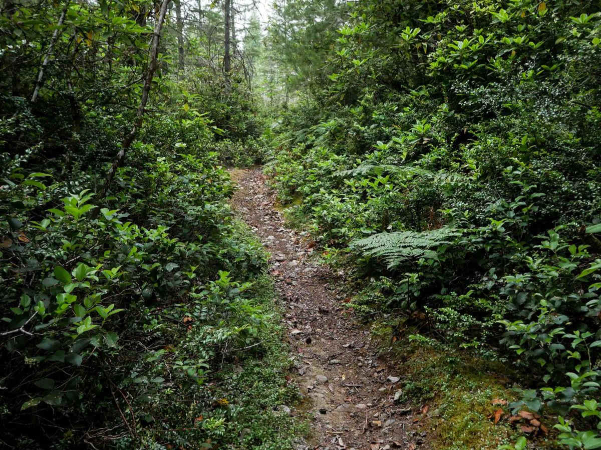 1.9 Mile photo 2