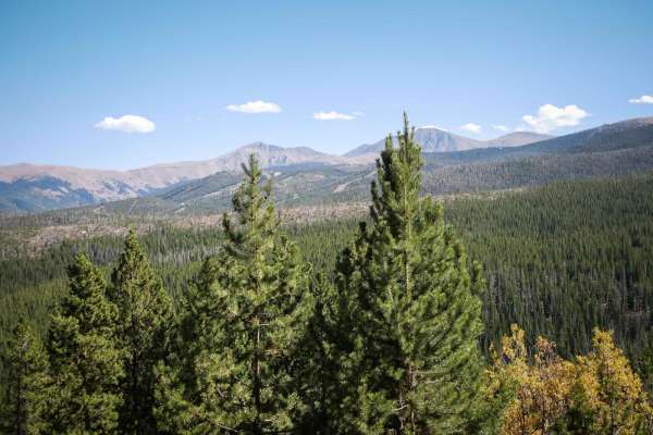 Upper Elk Creek ATV