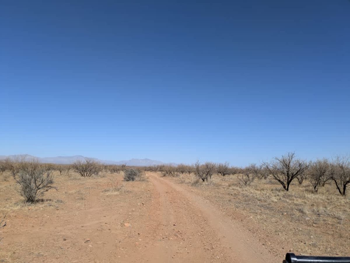 FR229 Bueno Tank Road photo 2