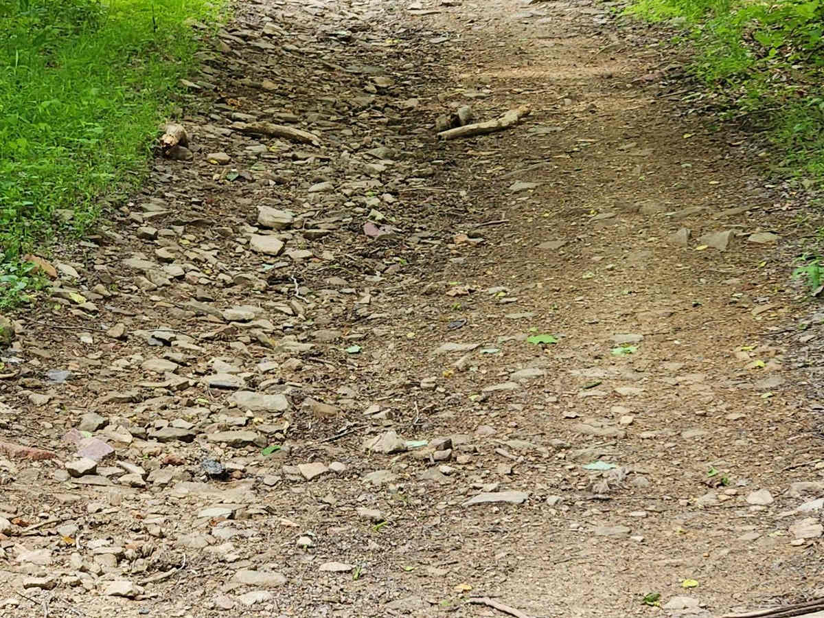CW Road - Rock Run Recreation Area photo 2