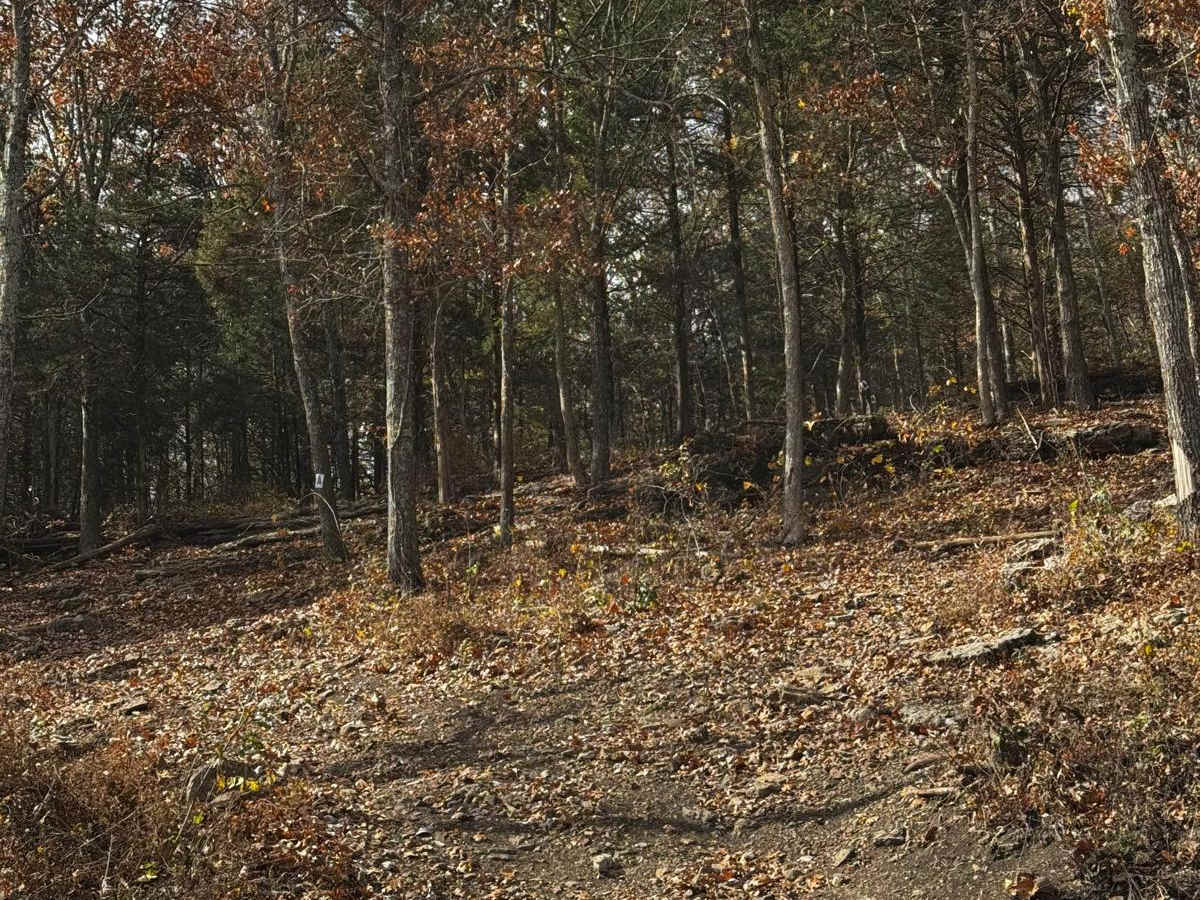 XJ killer photo 4