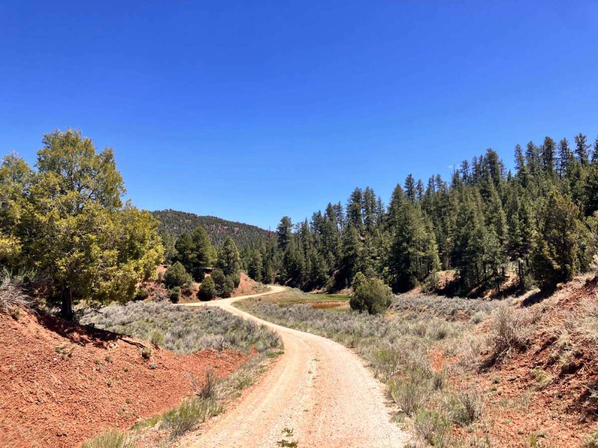 Wolf Draw Trail photo 4
