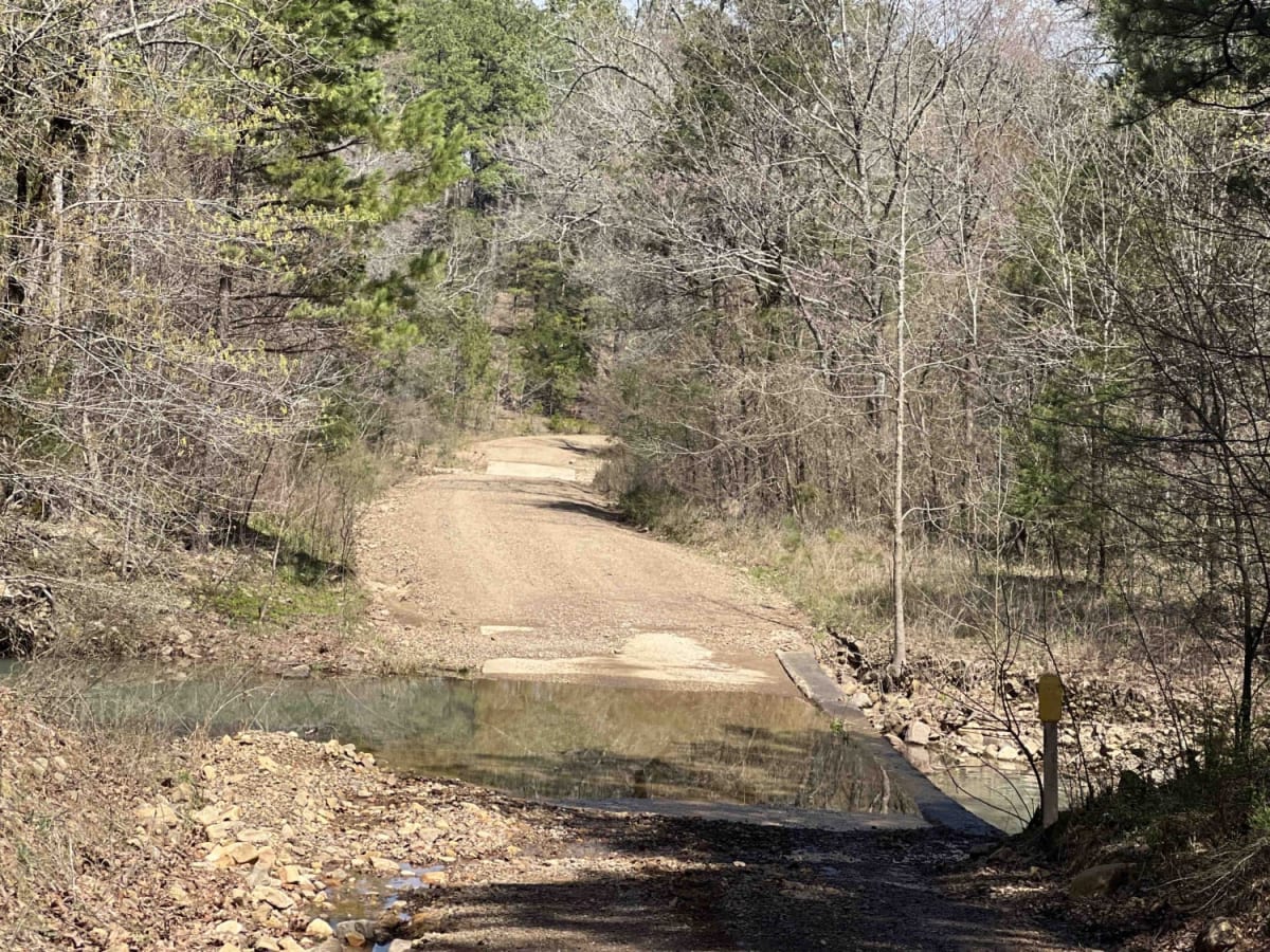 Nella Winfield 12 photo 3