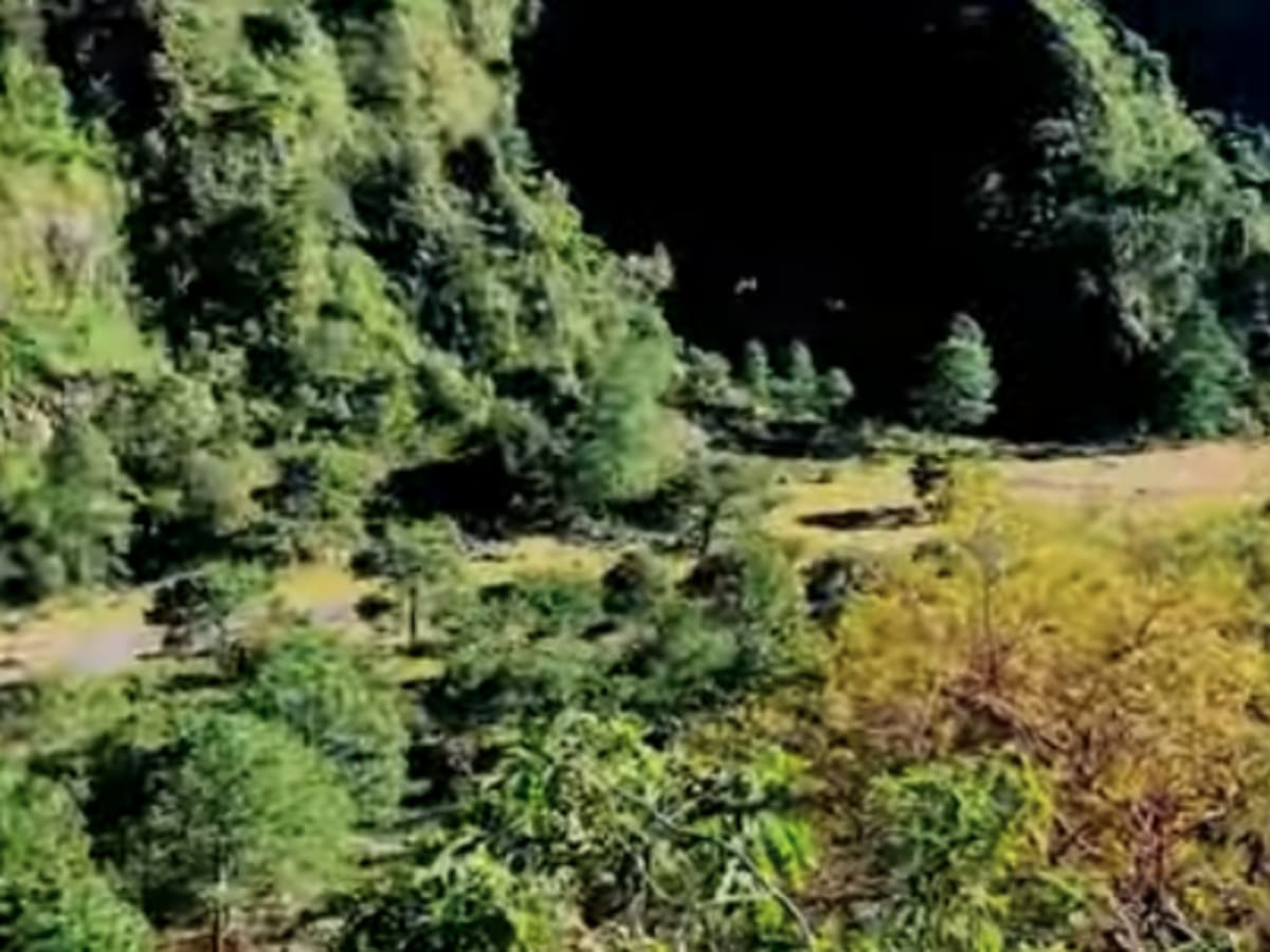 Ceboruco Volcano Trail photo 2