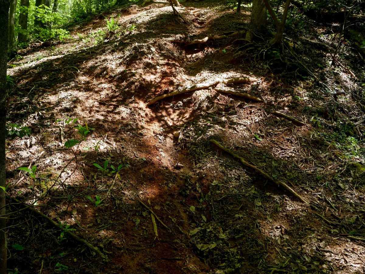Stage 7 trail photo