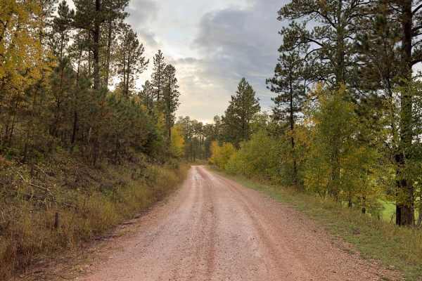 Kelly Spur Road (FS 136) Loop