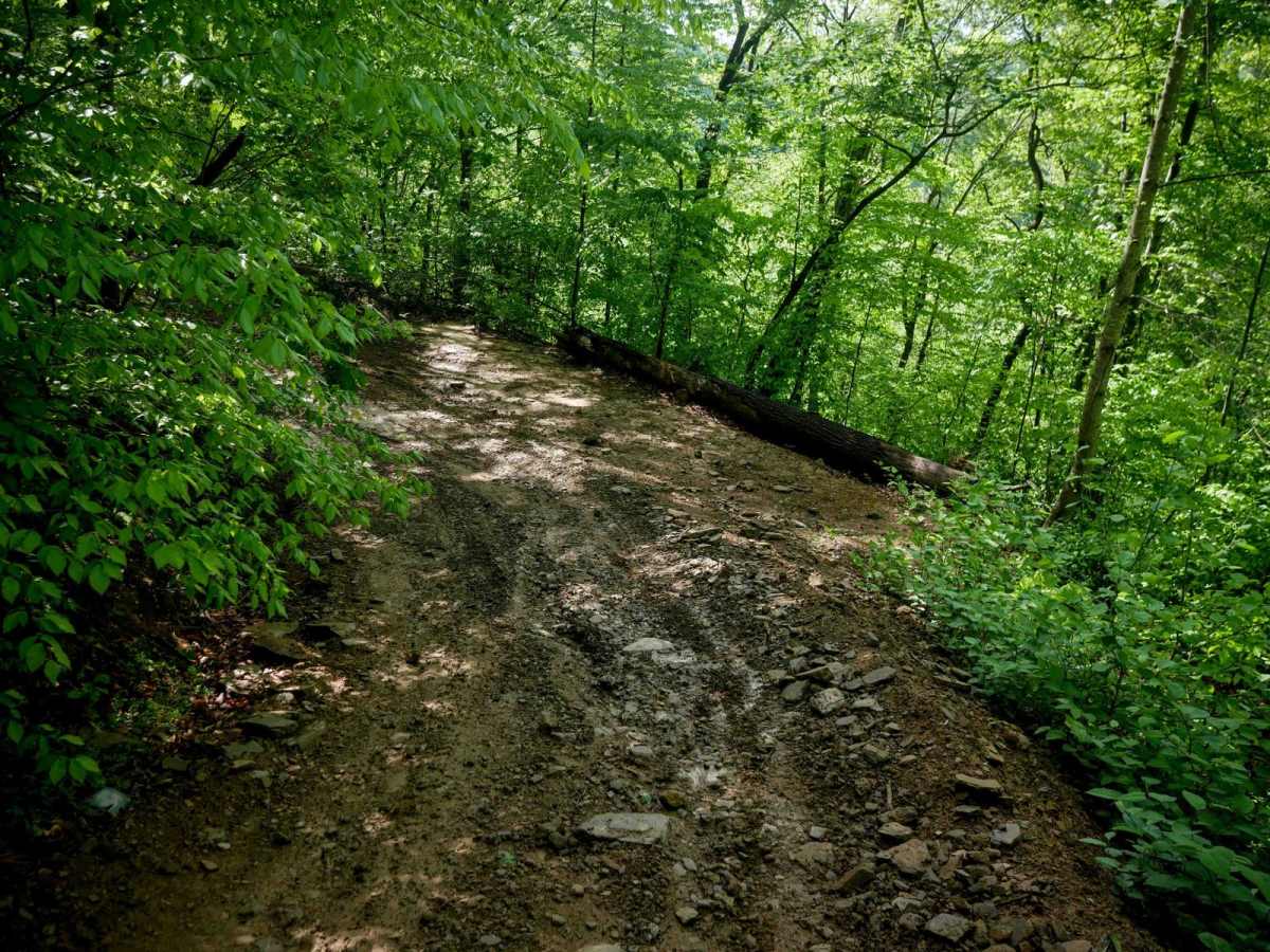 RH 80 trail photo