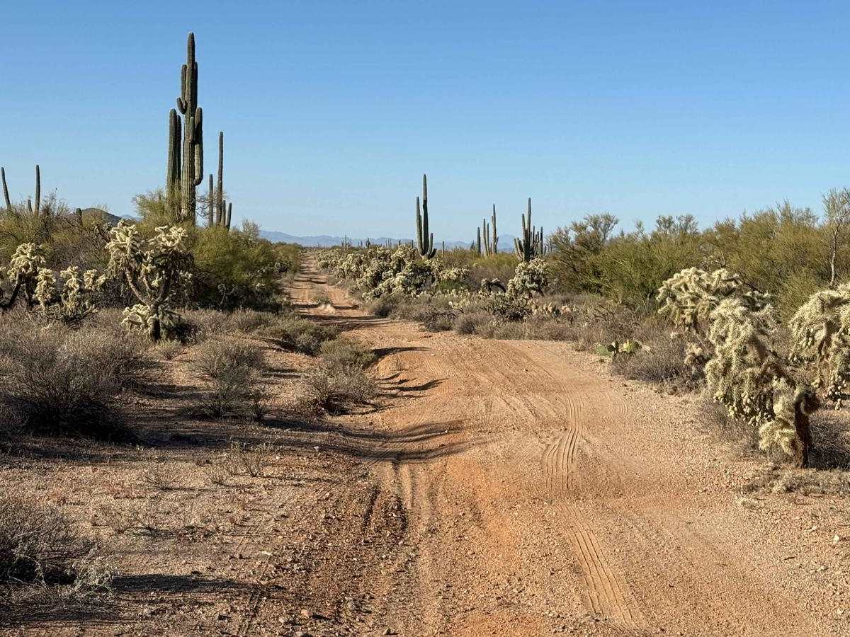 M0770 Gas Pipeline Trail photo 5