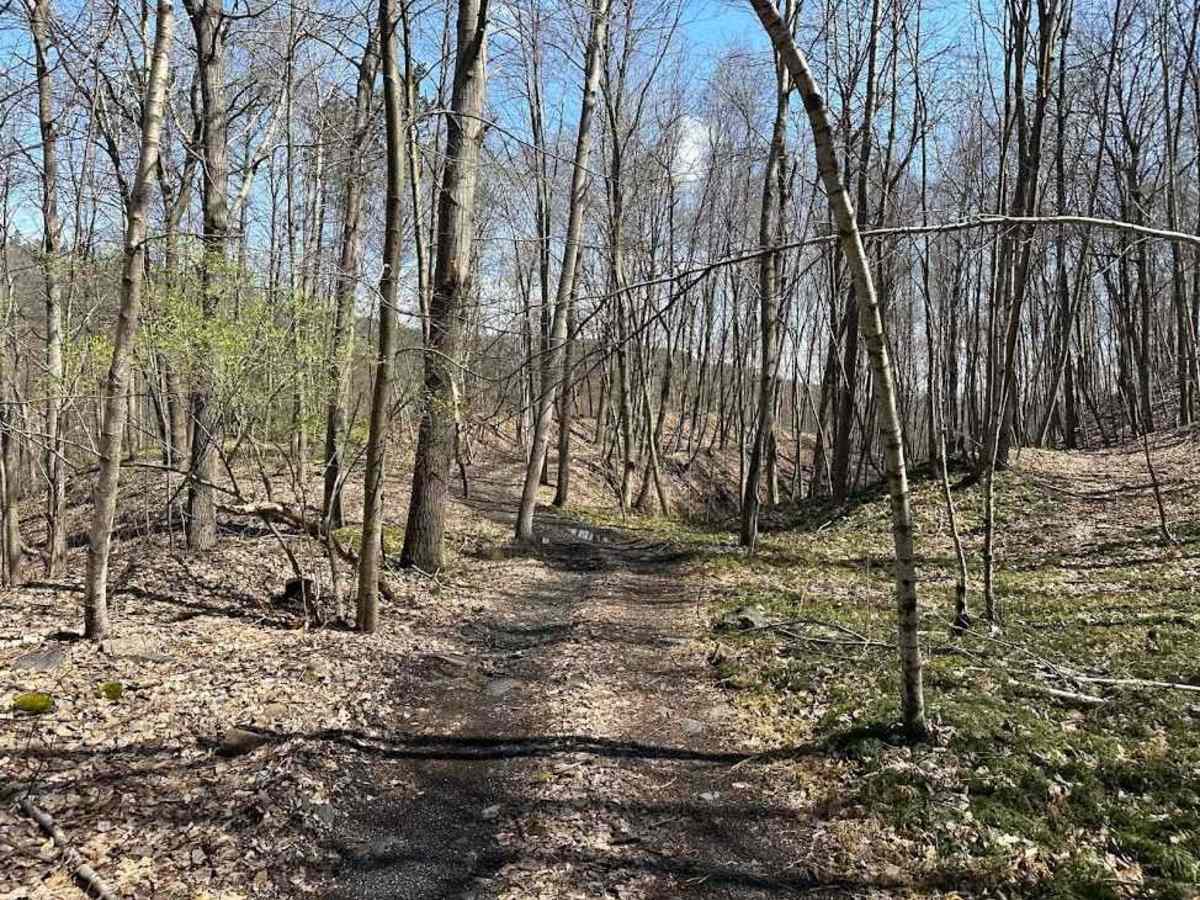 Ashland 130 photo 2