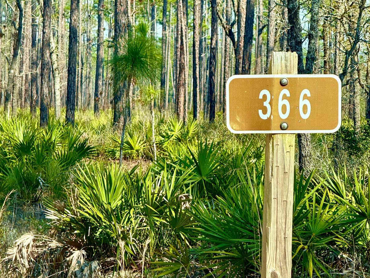 Hardpan 366 trail photo