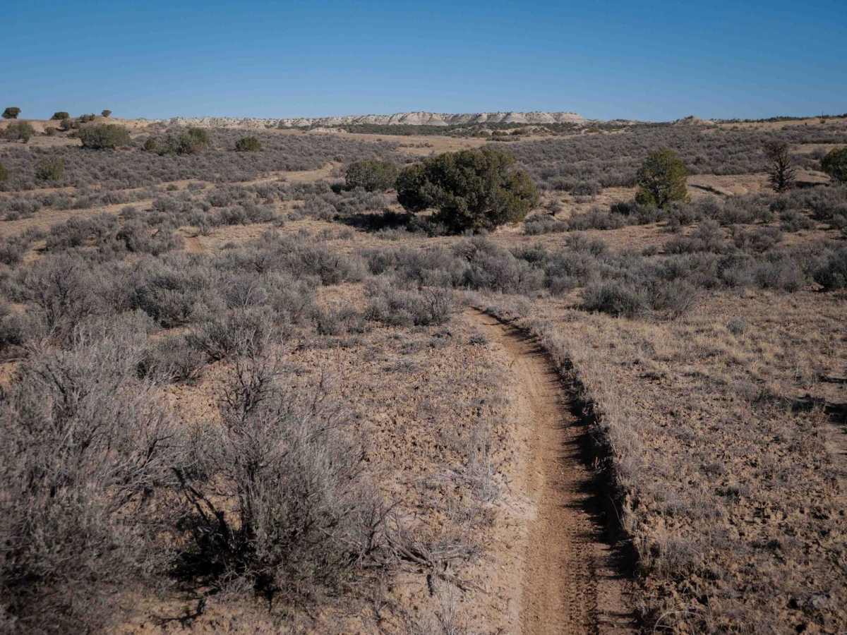Ridge Singletrack photo 2