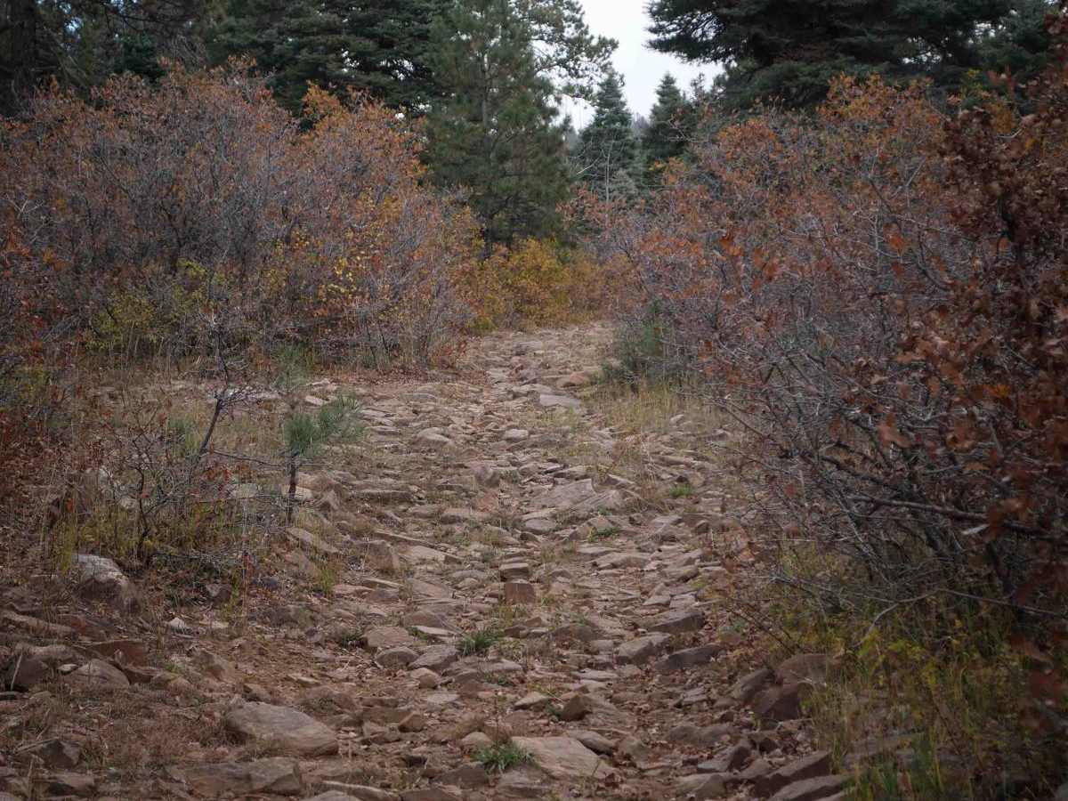 Mule Mountain photo 2