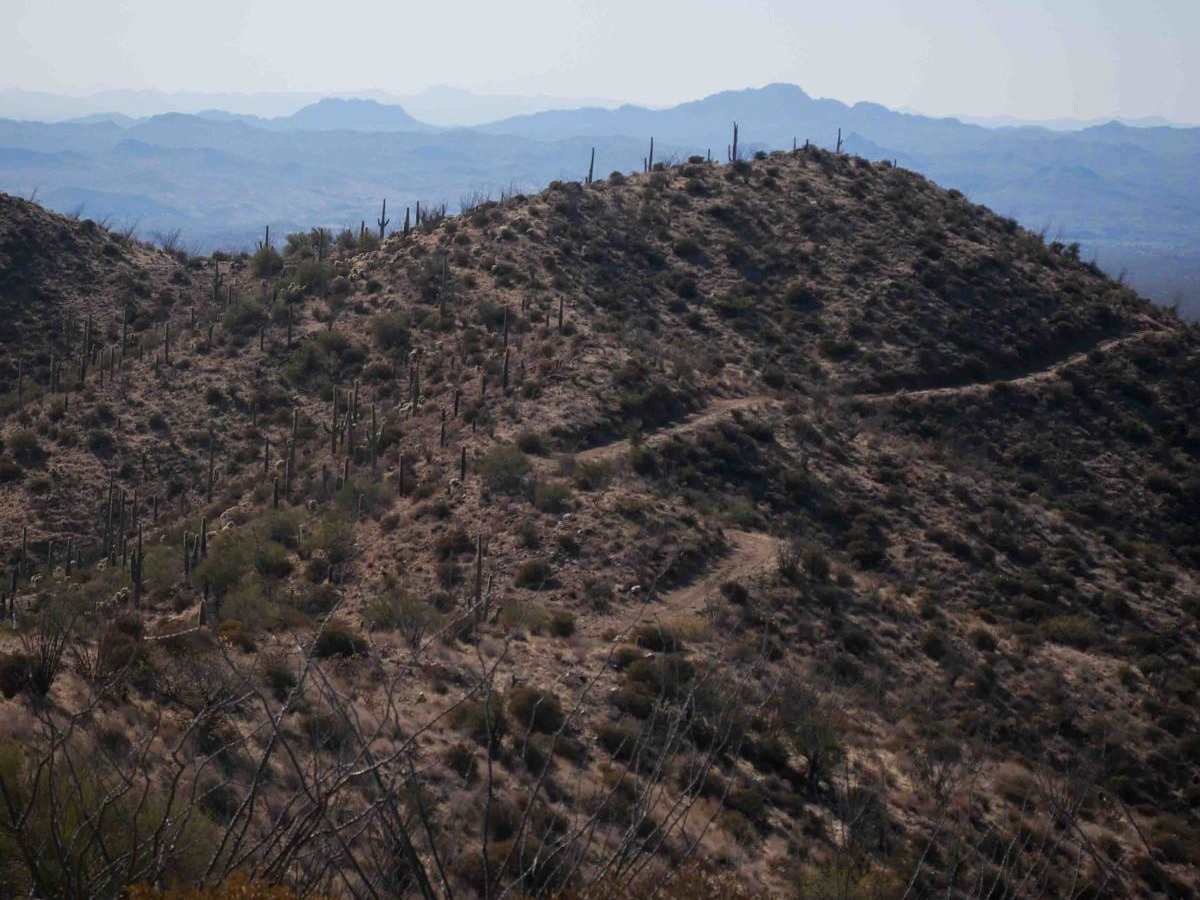 33037 ATV trail photo