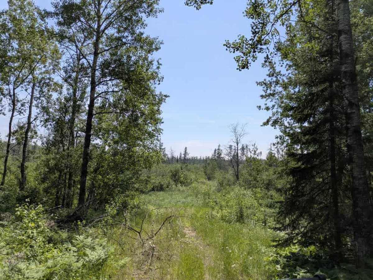 South Long Lake Road photo 6