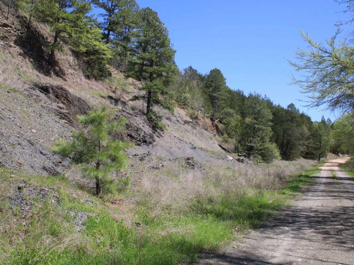Howard County WMA To Highway 278 photo 4
