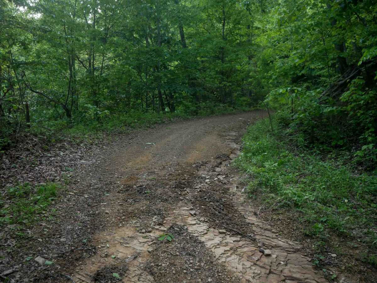 RV11 photo 3