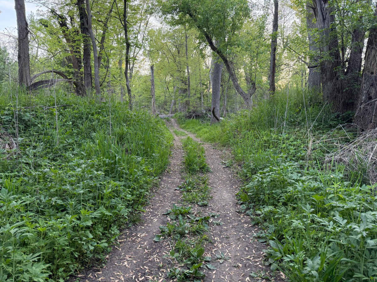 C1 trail photo