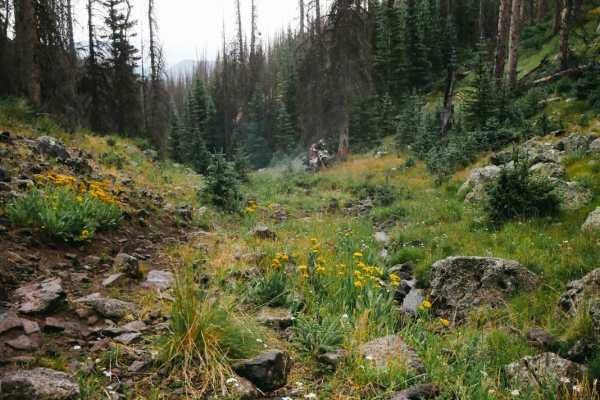 Willow Mountain Trail