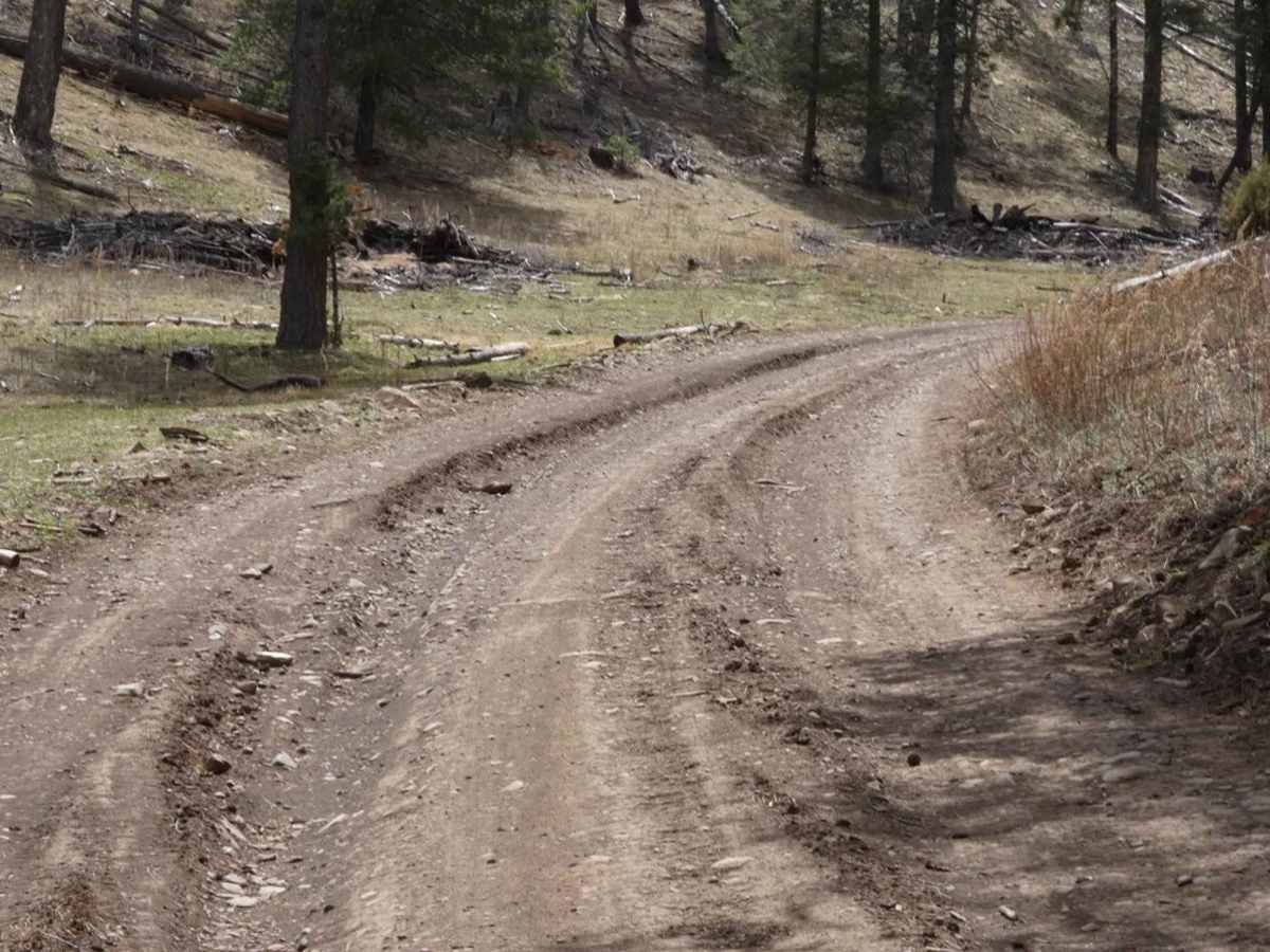Long Canyon to Board Canyon (FS271) photo 4