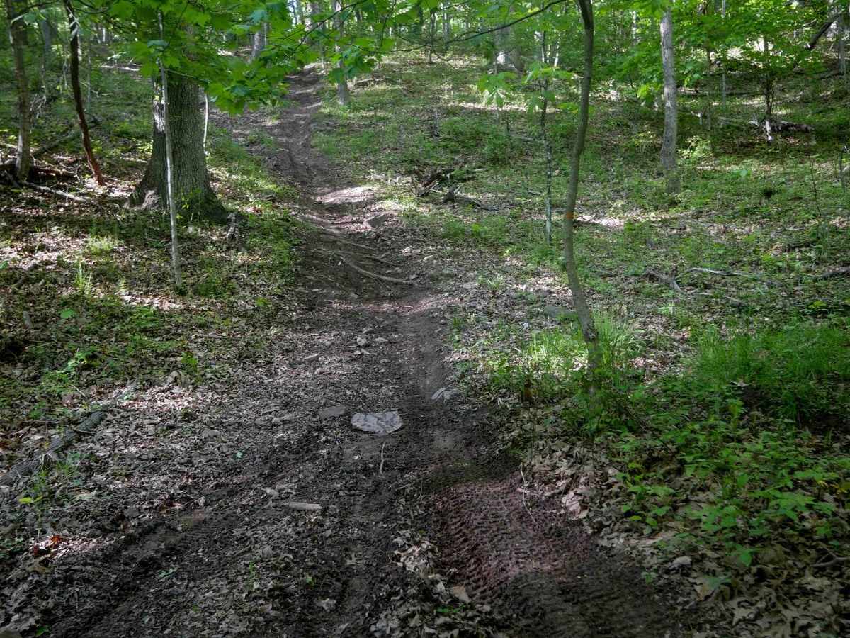 Single Track 3 photo 2
