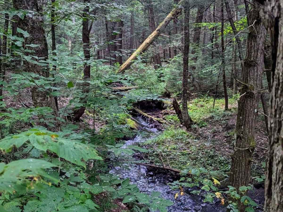 Middle Road photo 2