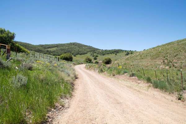 Old Canyon Road