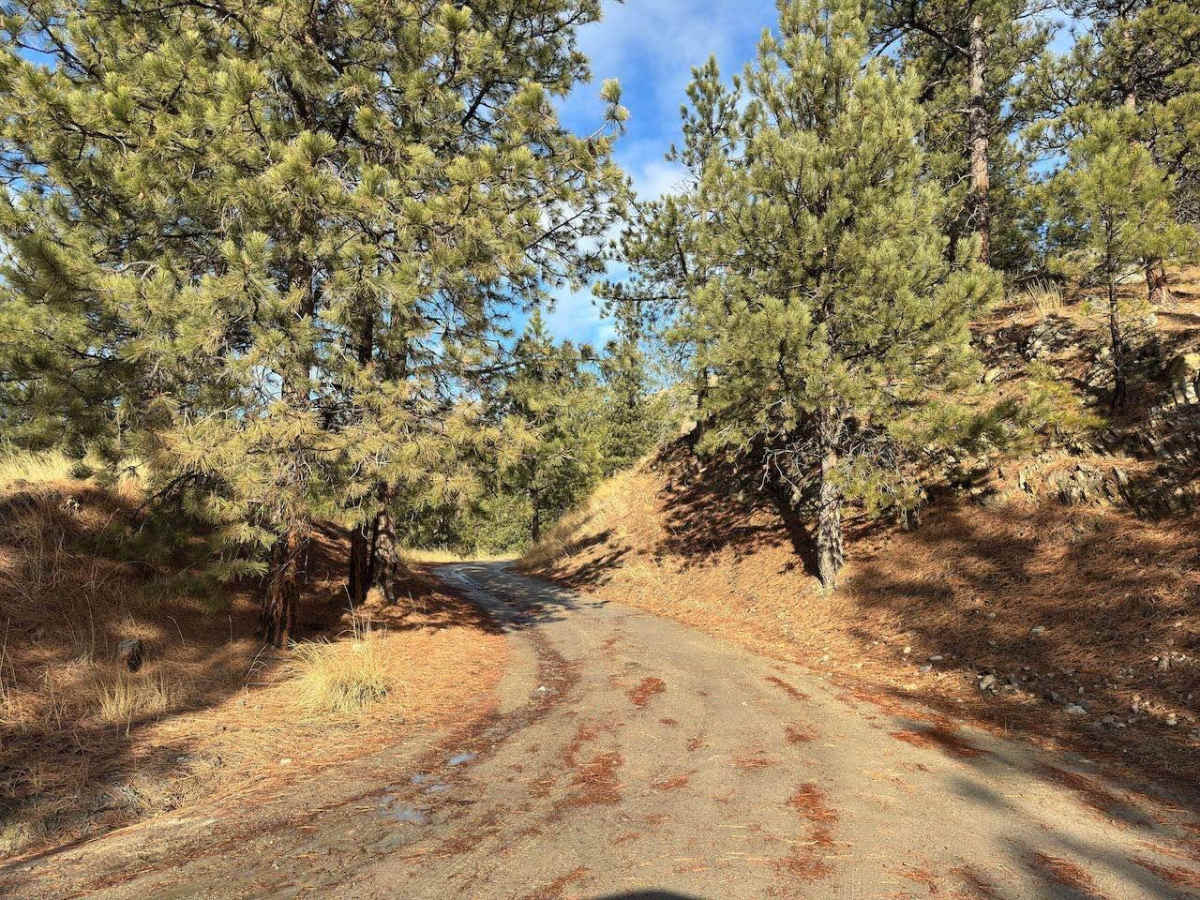 Brennan Creek photo 2
