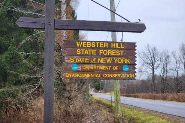 Webster Hill PFAR