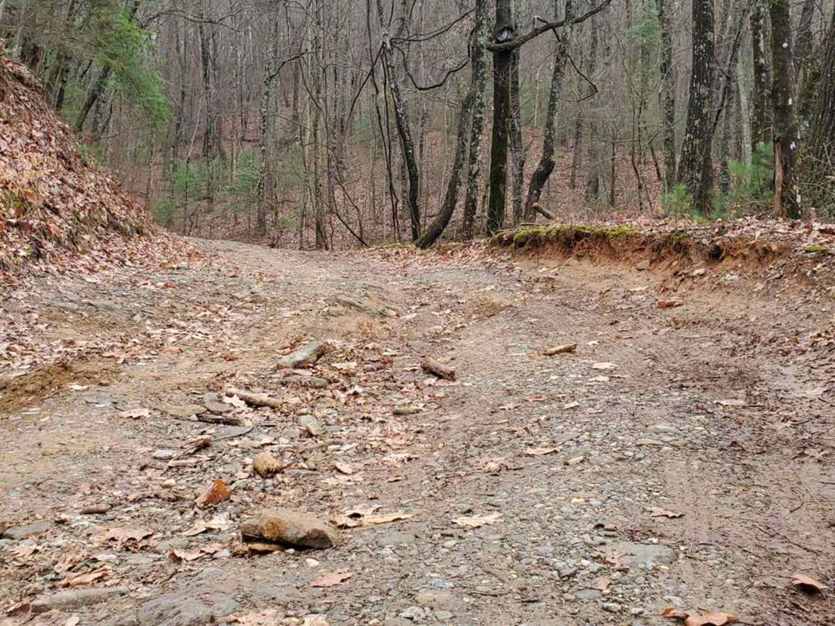 Hickorynut Gap - FSR 797 photo 4