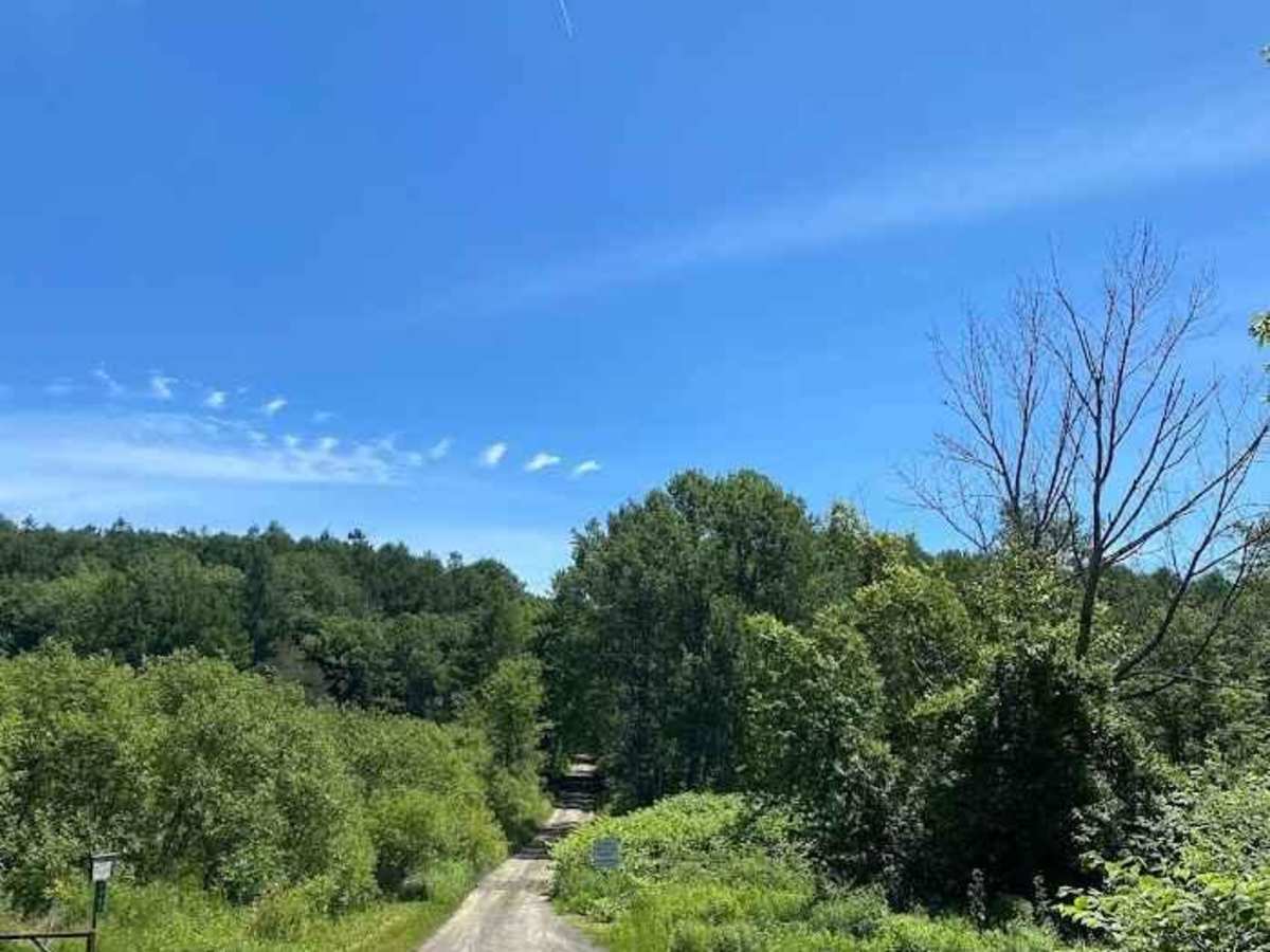Kennedy State Forest - Hauk Hill Road photo 2