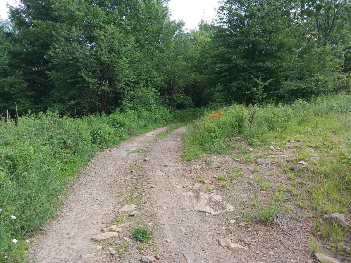 Trail 11H - Rock Run Recreation Area photo 3