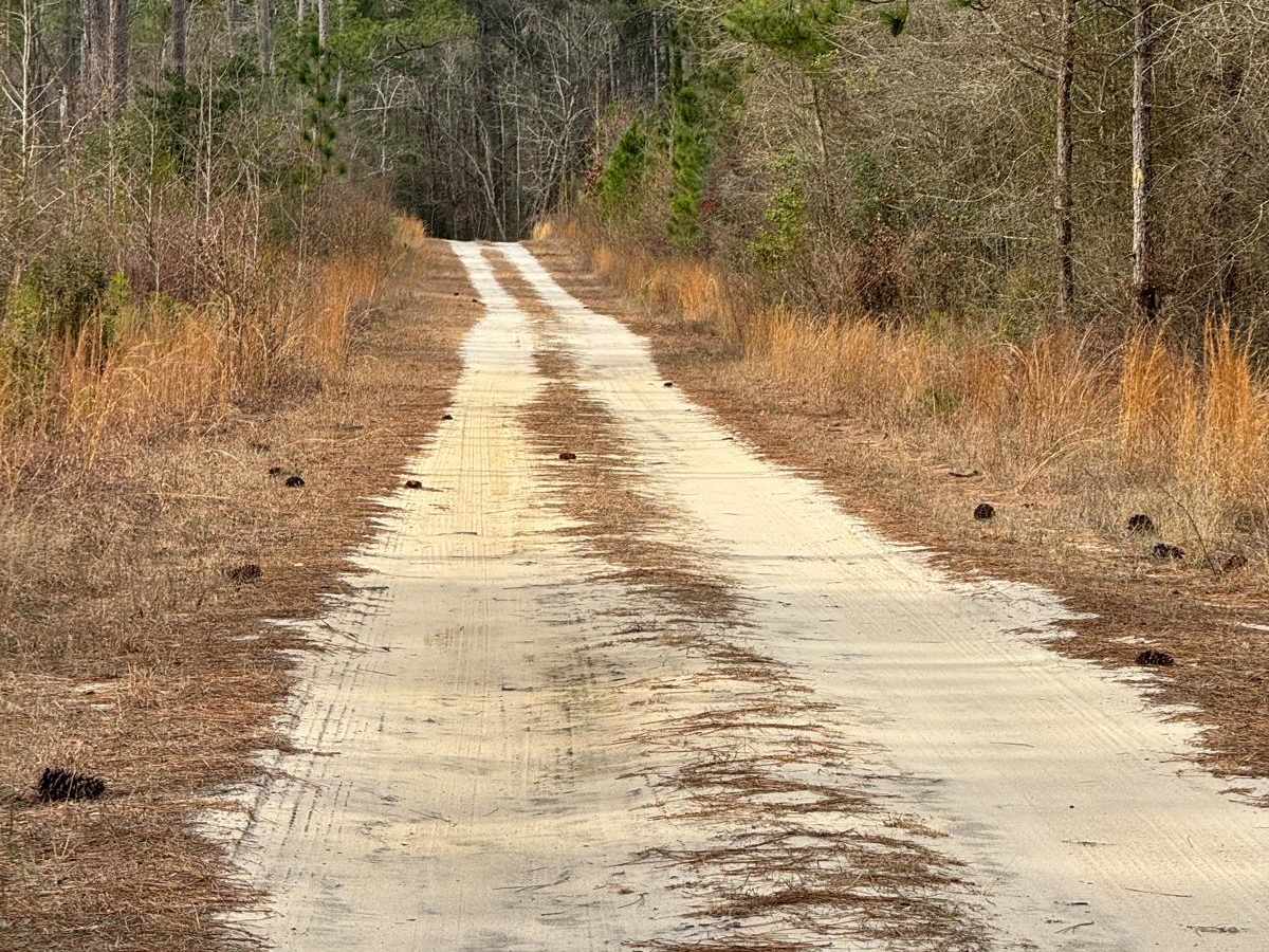 Camp Chamblee photo 4