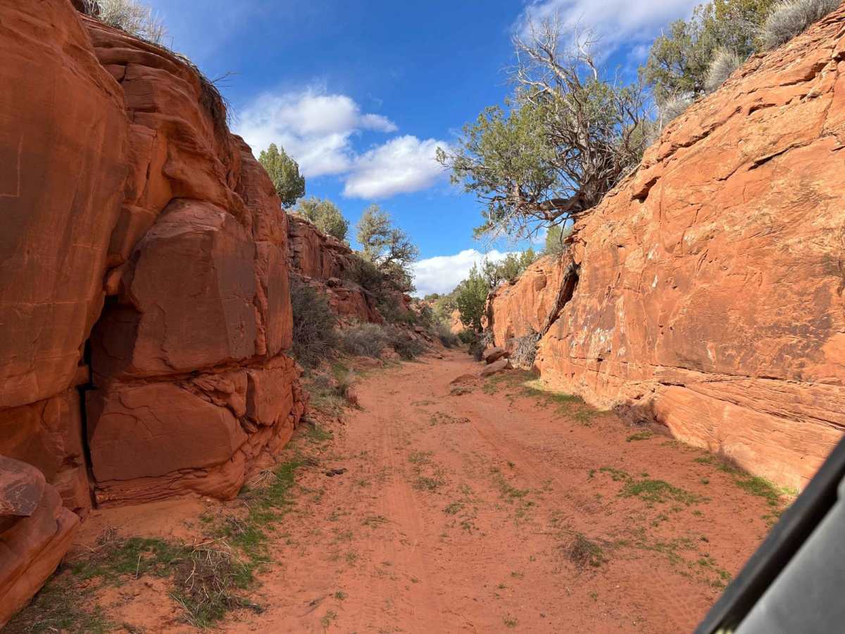 Mule Shoe trail photo
