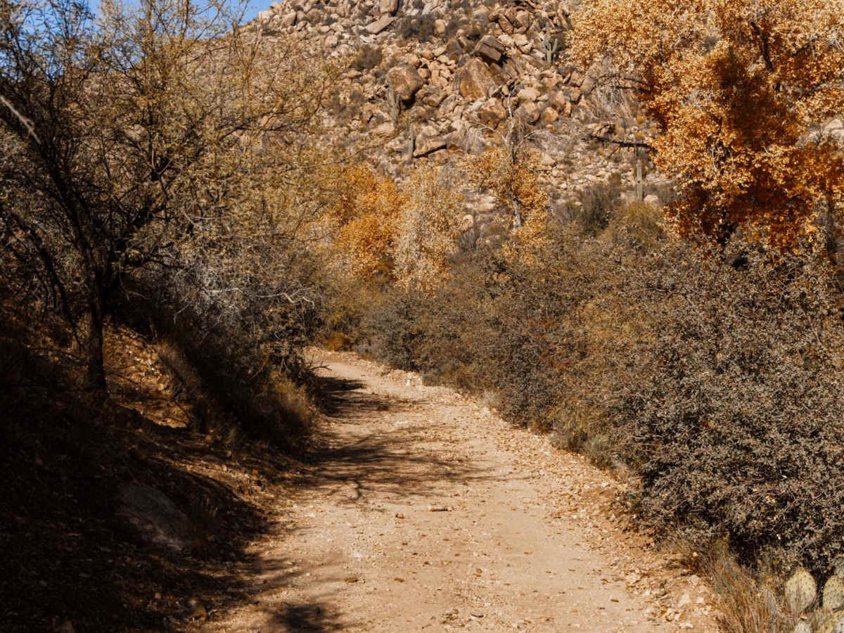 Quail Spring Cutoff photo 6