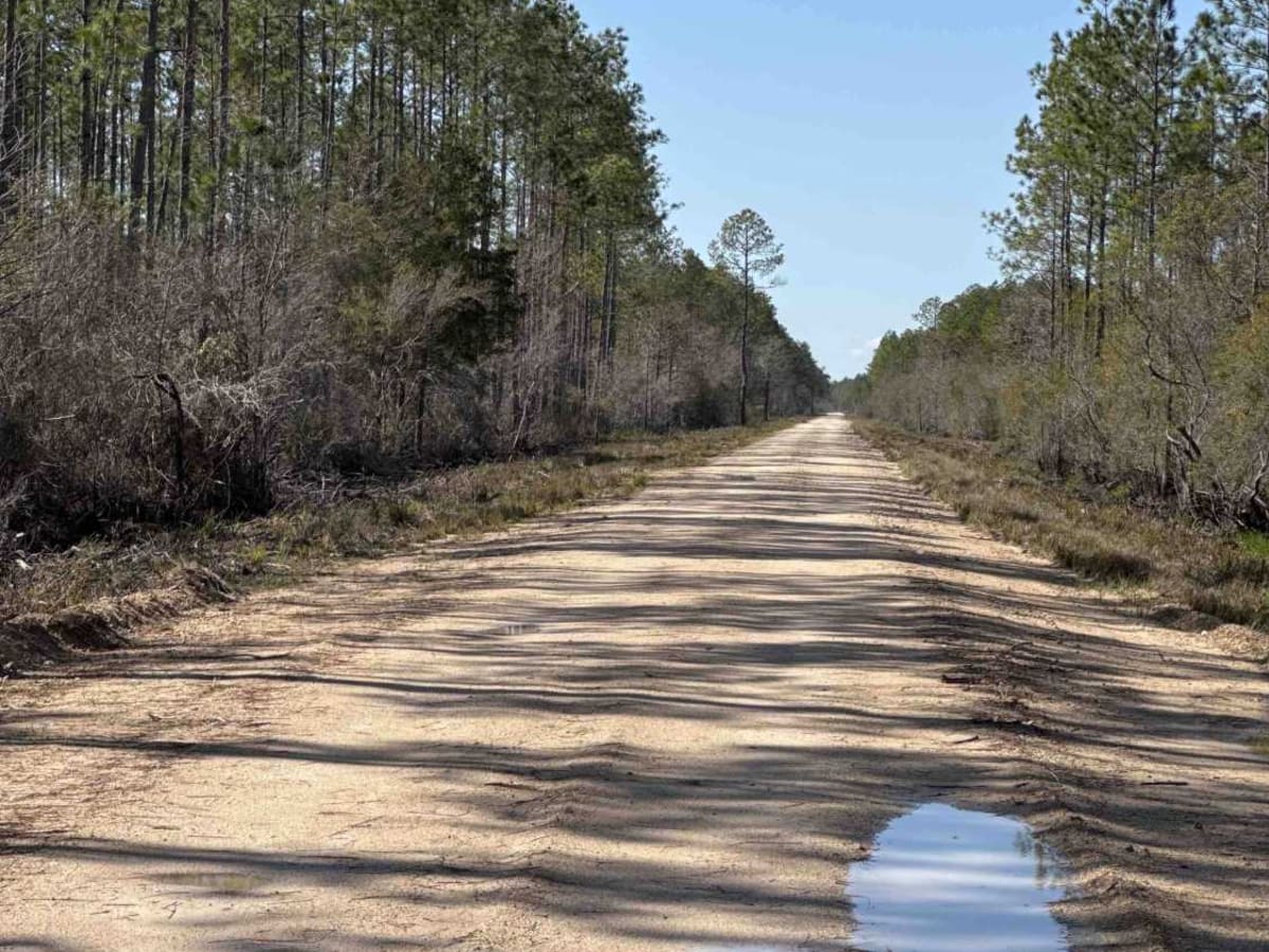 West Double Bridge Road photo 6
