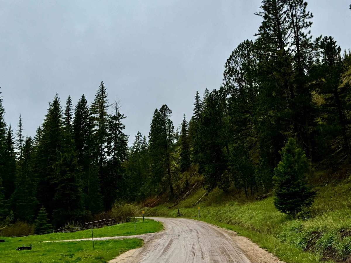 Black Fox Camp Road photo 3