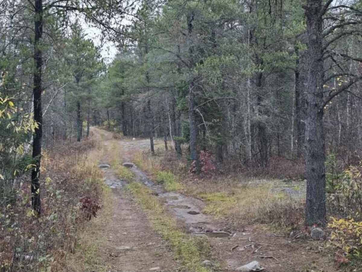 Twelve-Hundred Trail (SNF) photo 4