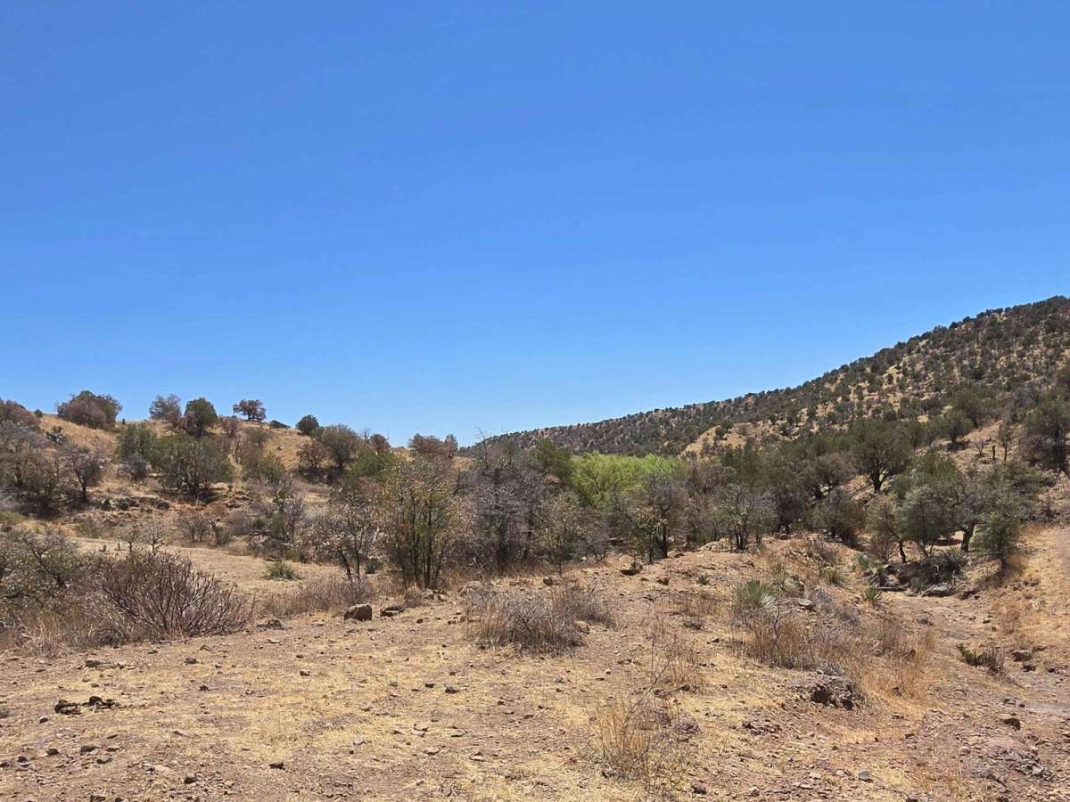 Hog Canyon Side Trail photo 4