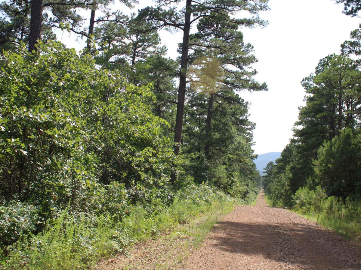 Girard Road to White Oak Road photo 5