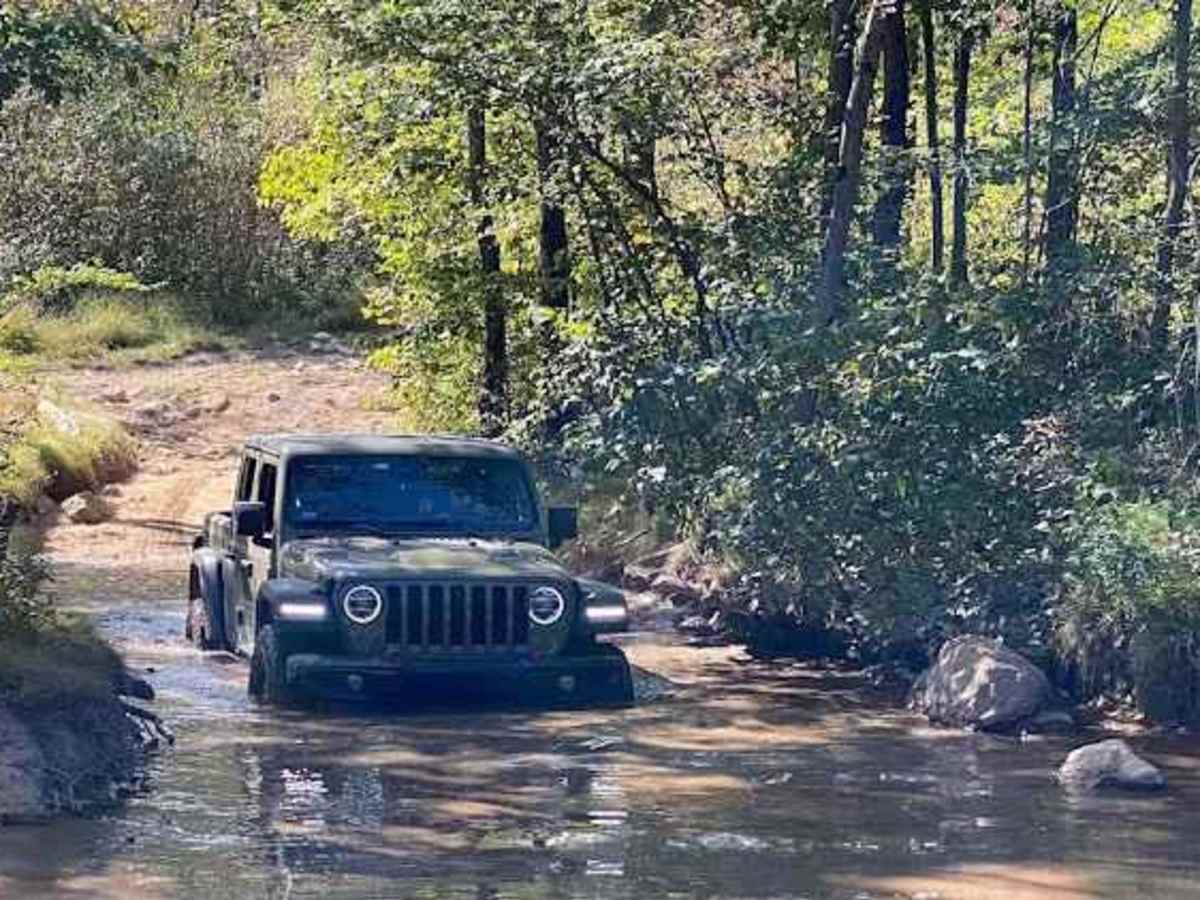 Muddy Area photo 2