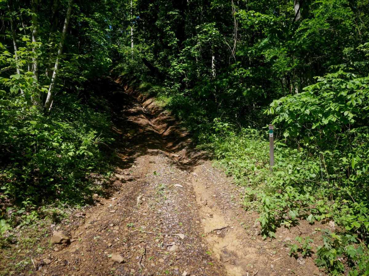 CC85 trail photo