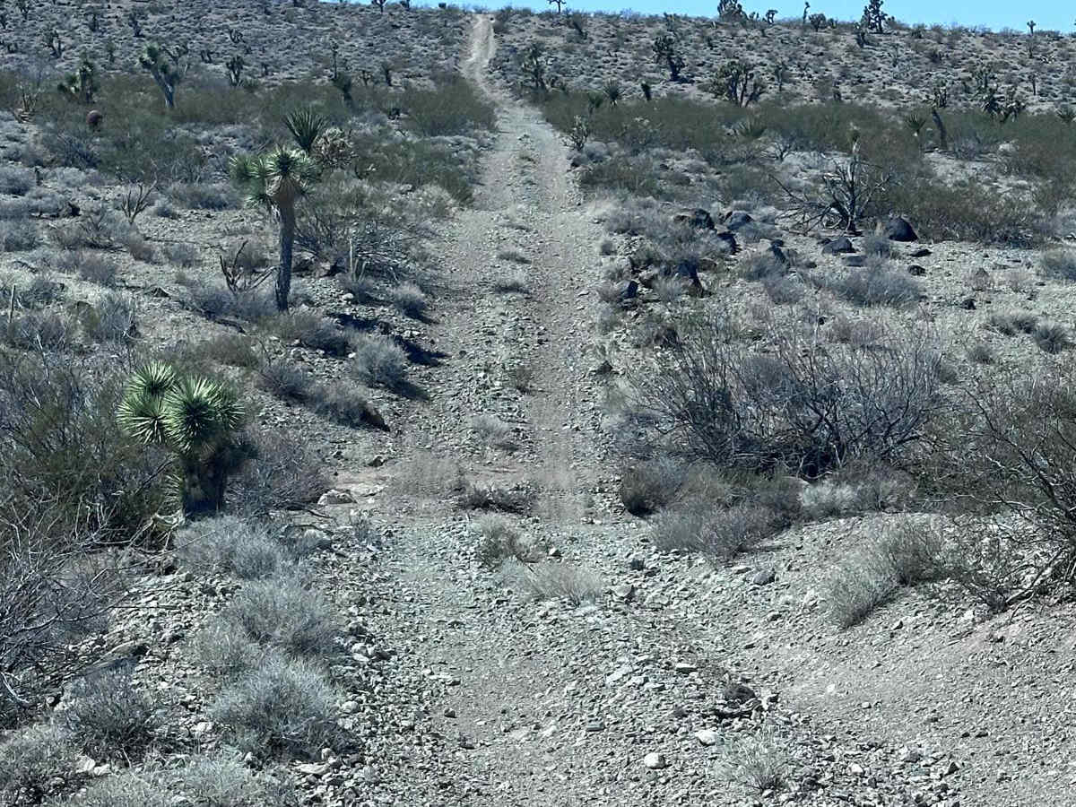 BLM Route 7951 photo 2