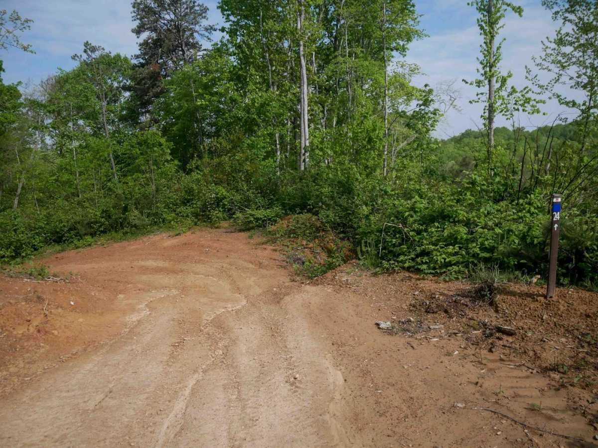 OP 24 trail photo