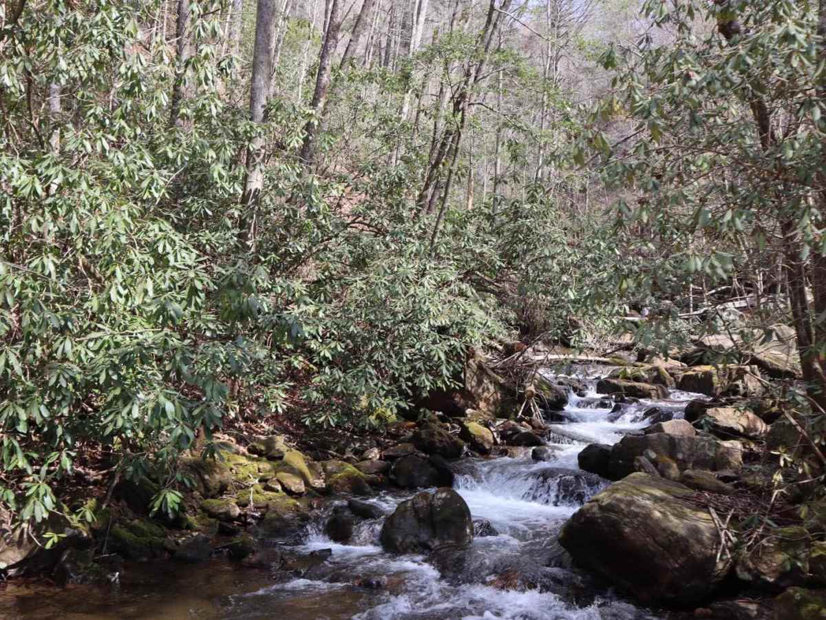 Boggs Creek photo 3