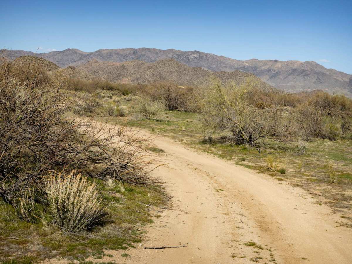 Sullivan Tank trail photo